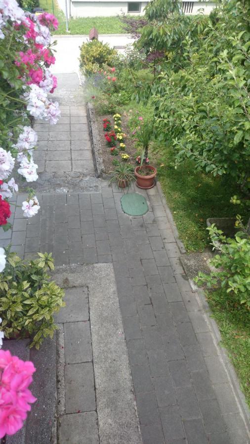 Penzion Mimi Bled Exteriér fotografie