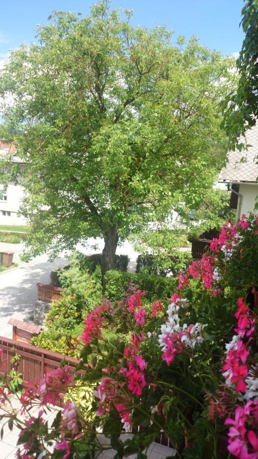 Penzion Mimi Bled Exteriér fotografie