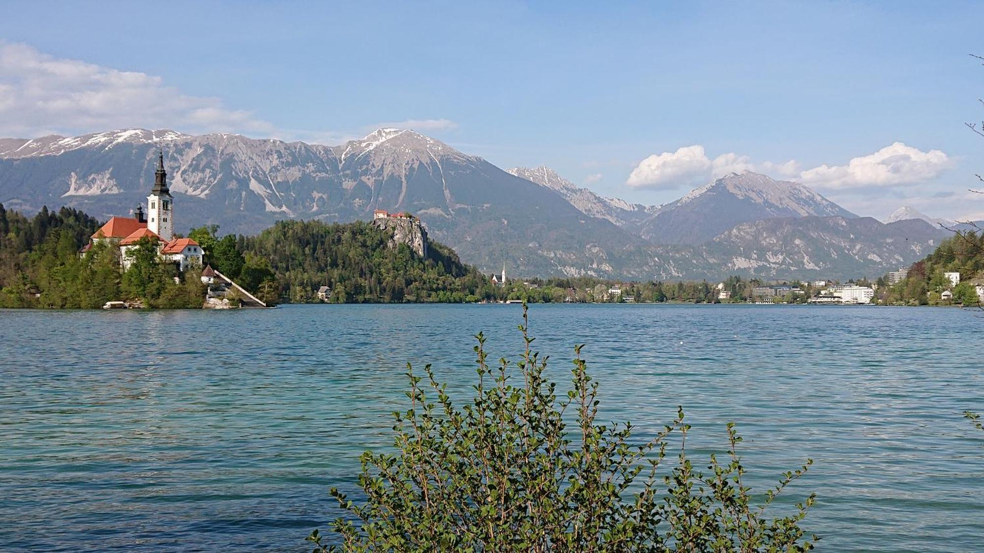 Penzion Mimi Bled Exteriér fotografie